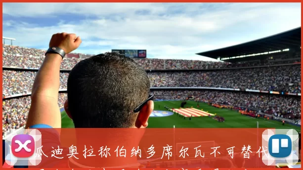 瓜迪奥拉称伯纳多席尔瓦不可替代曼城今日表现堪称本赛季最佳之一