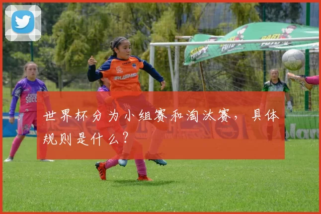 世界杯分为小组赛和淘汰赛，具体规则是什么？