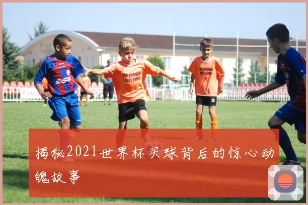 揭秘2021世界杯买球背后的惊心动魄故事
