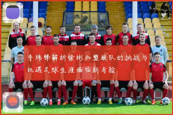 李玮锋解析徐彬加盟狼队的挑战与机遇足球生涯面临新考验