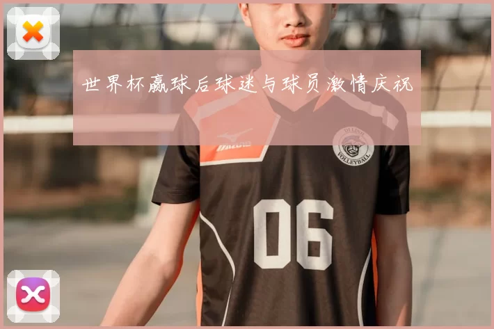 世界杯赢球后球迷与球员激情庆祝
