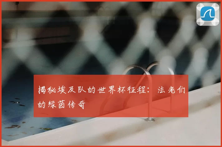 揭秘埃及队的世界杯征程：法老们的绿茵传奇