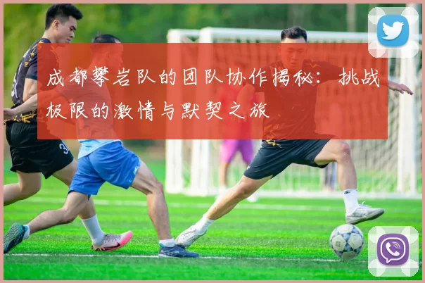 成都攀岩队的团队协作揭秘:挑战极限的激情与默契之旅