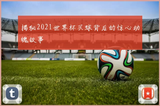 揭秘2021世界杯买球背后的惊心动魄故事