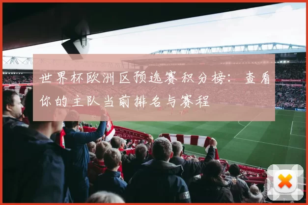 世界杯欧洲区预选赛积分榜:查看你的主队当前排名与赛程