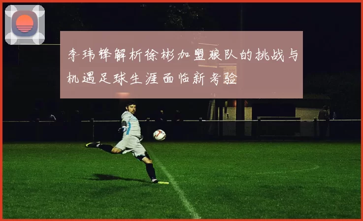 李玮锋解析徐彬加盟狼队的挑战与机遇足球生涯面临新考验
