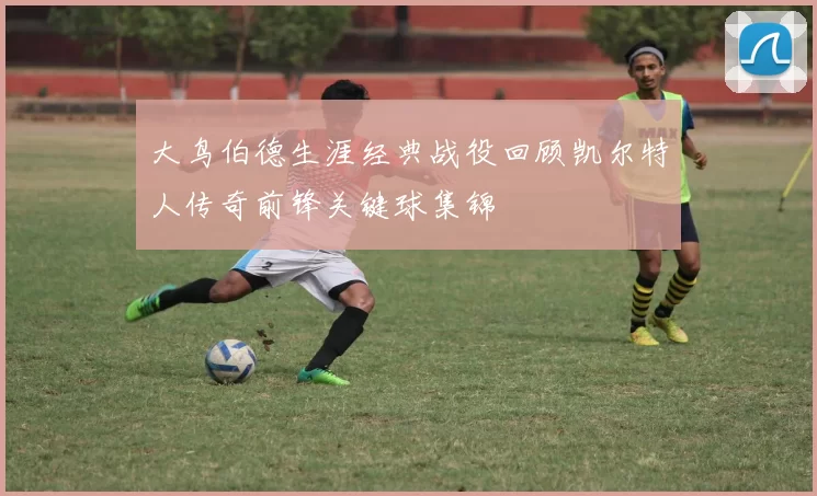 大鸟伯德生涯经典战役回顾凯尔特人传奇前锋关键球集锦