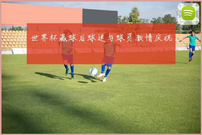 世界杯赢球后球迷与球员激情庆祝