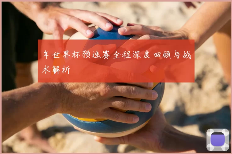 年世界杯预选赛全程深度回顾与战术解析