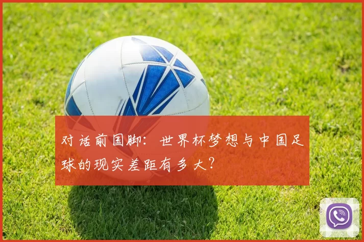 对话前国脚:世界杯梦想与中国足球的现实差距有多大?