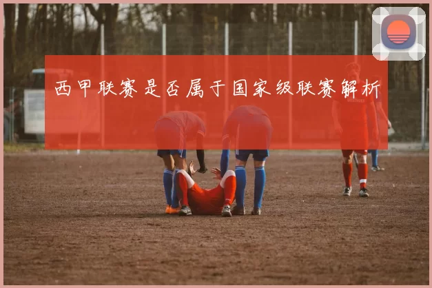 西甲联赛是否属于国家级联赛解析