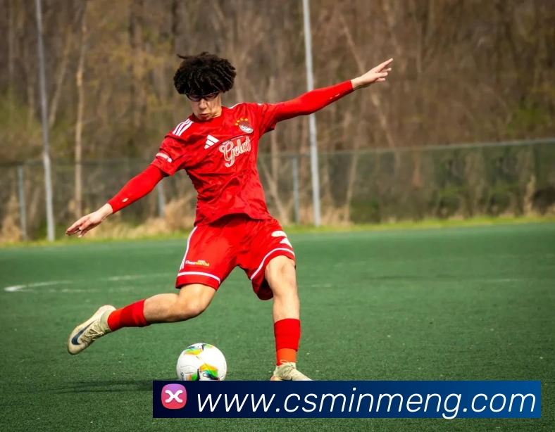 华体会平台生态图